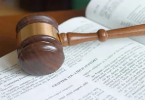 child support law book concept