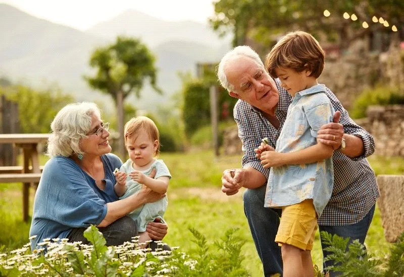 grandparents custody rights concept